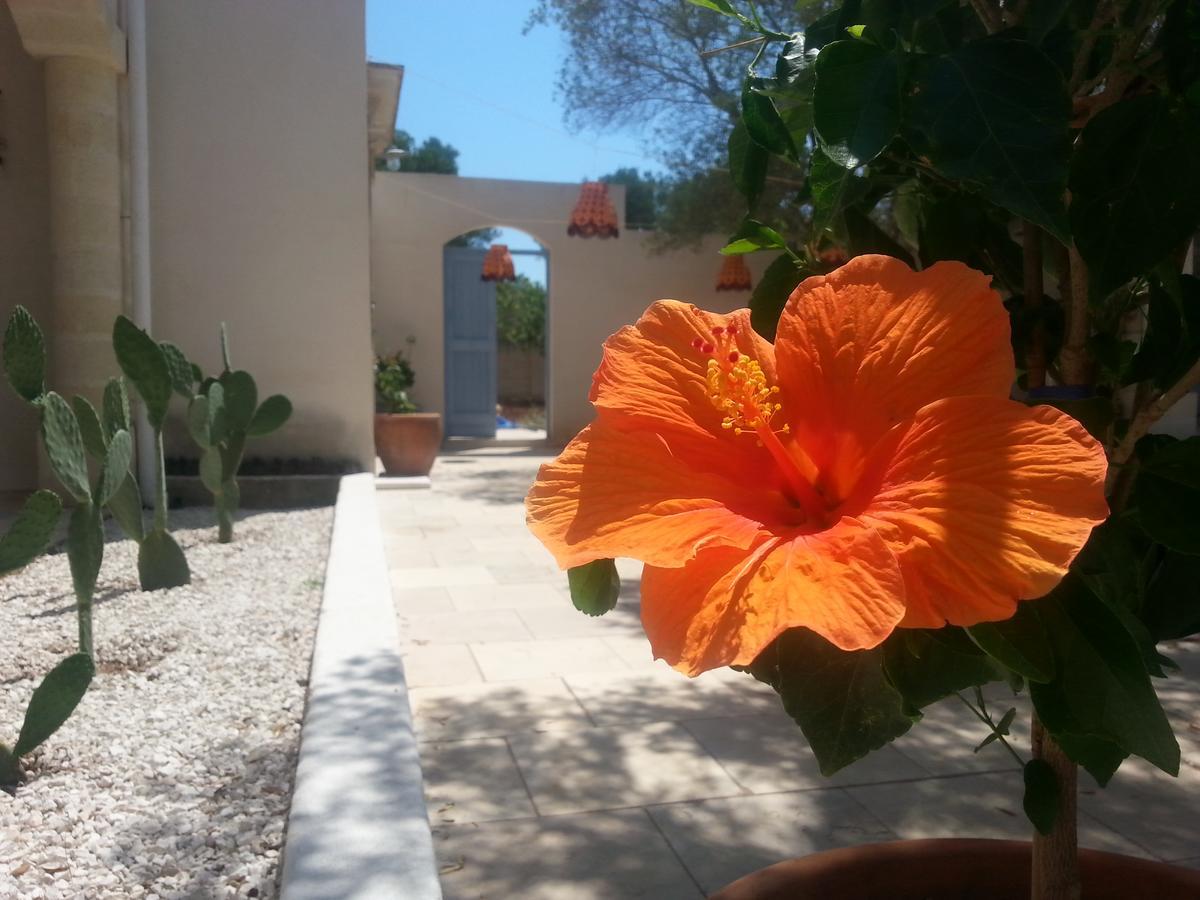 Bed and Breakfast The Proud Garden Carovigno Exterior foto