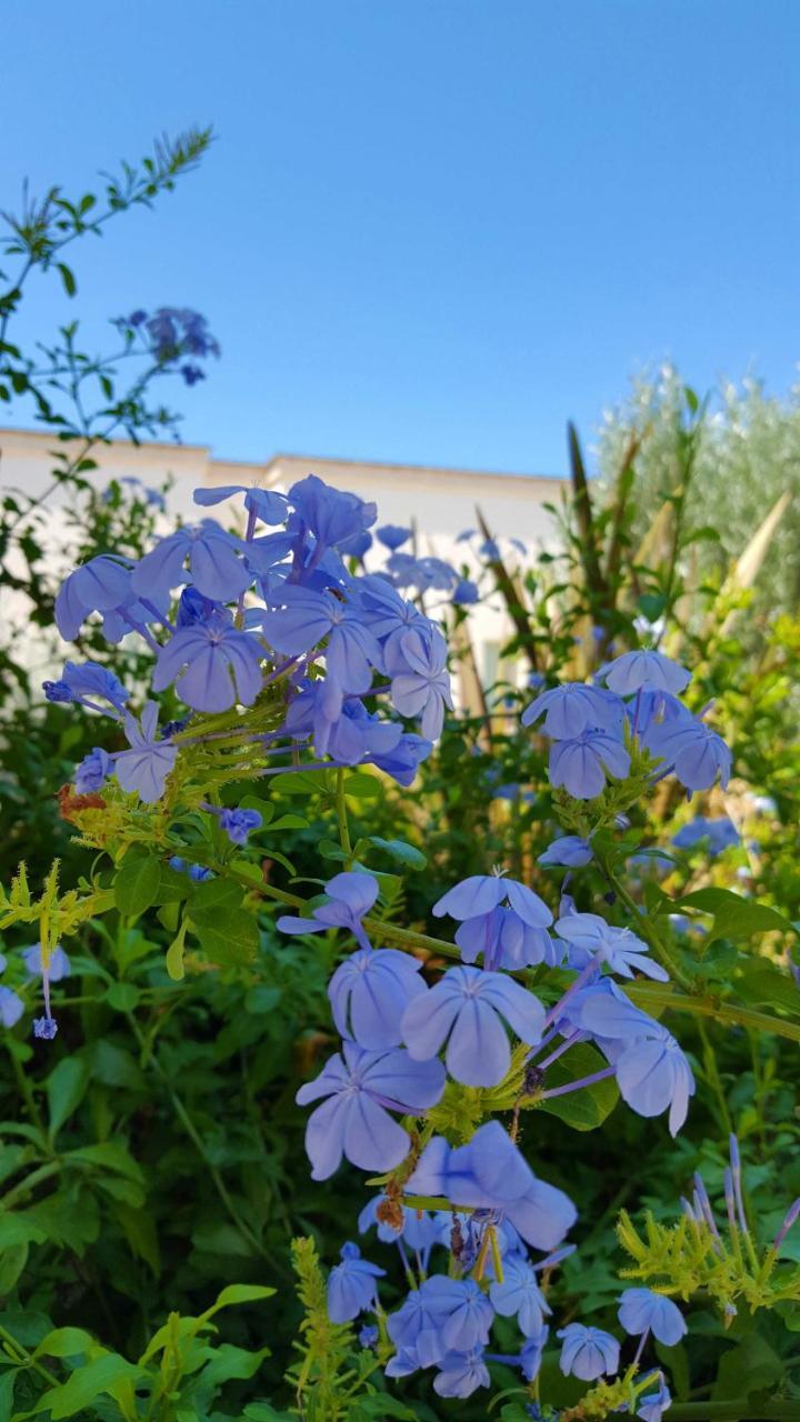 Bed and Breakfast The Proud Garden Carovigno Exterior foto