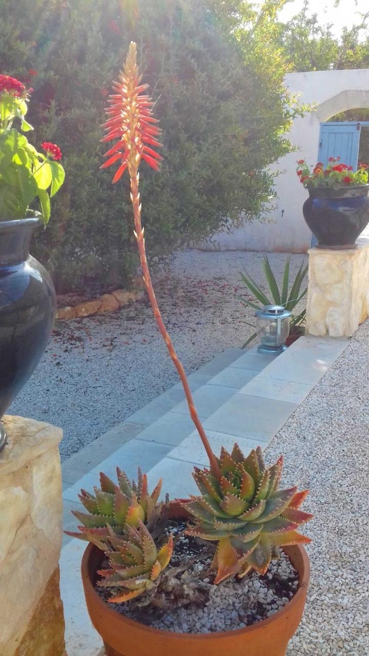 Bed and Breakfast The Proud Garden Carovigno Exterior foto